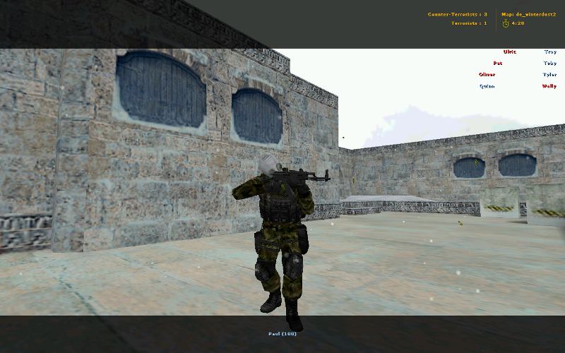 Альфа антитеррор (SAS)