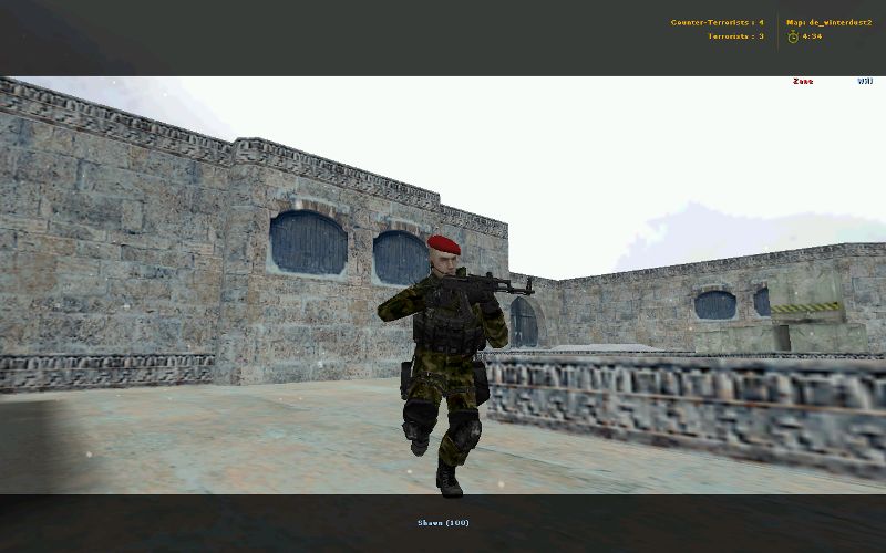 Альфа антитеррор (GSG9)
