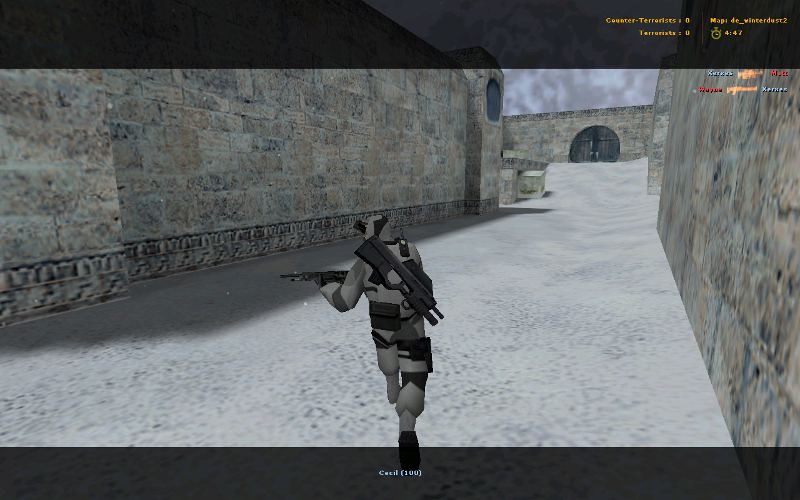 Splinter(FN F-2000 за спиной)
