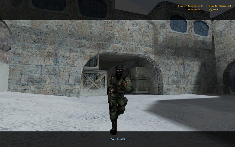 Seal team