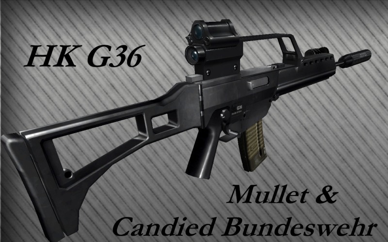 Mullet & Candied Bundeswehr HK G36