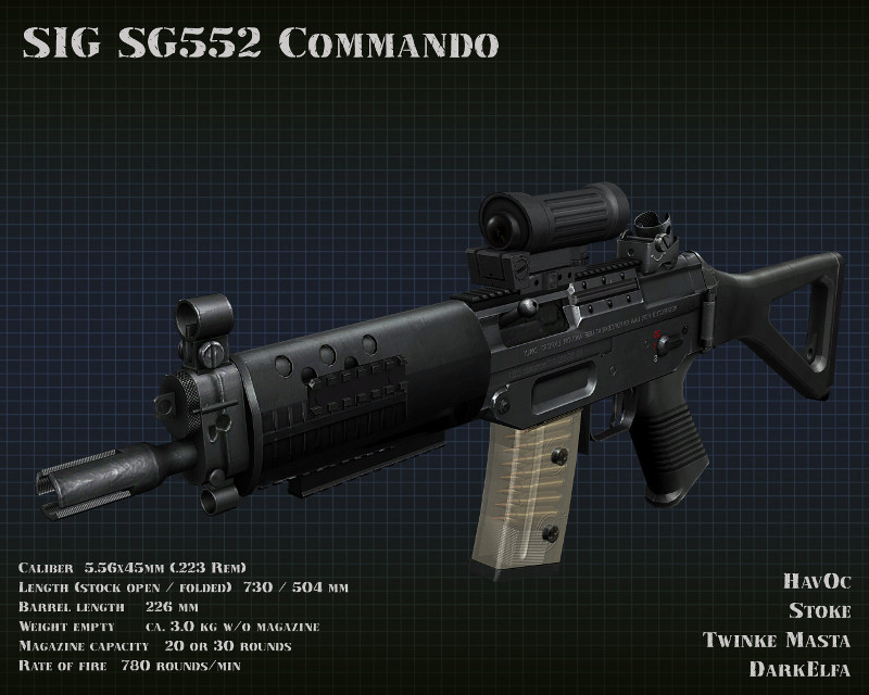 Hav0c And Twinke Sg552