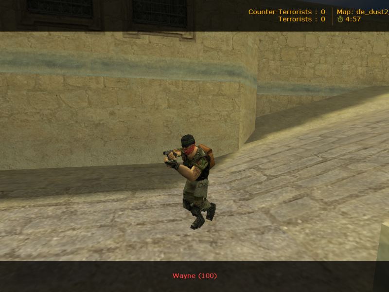 Guerilla