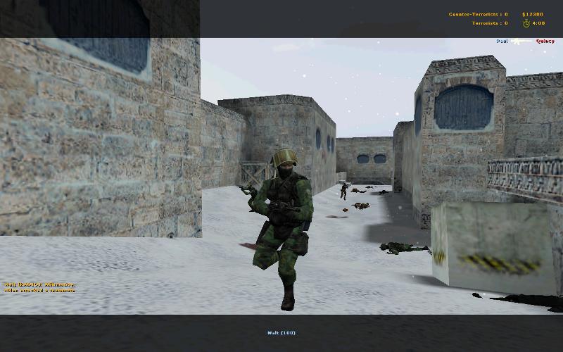 Jungle camouflage Gign