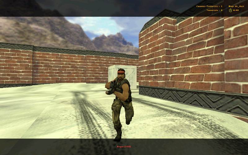 CSS Guerilla
