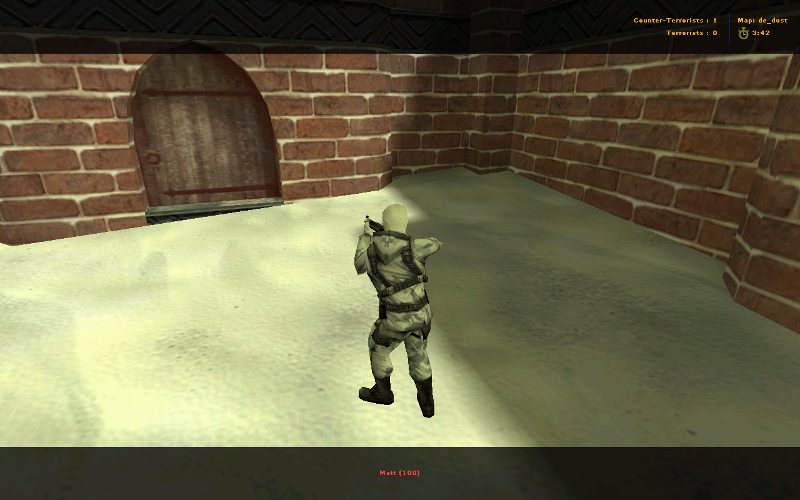 Arctic With White Skimask