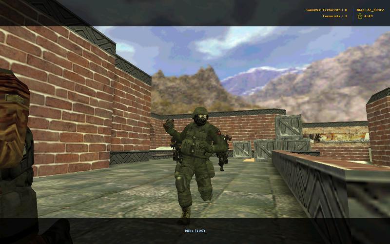 Gray sas