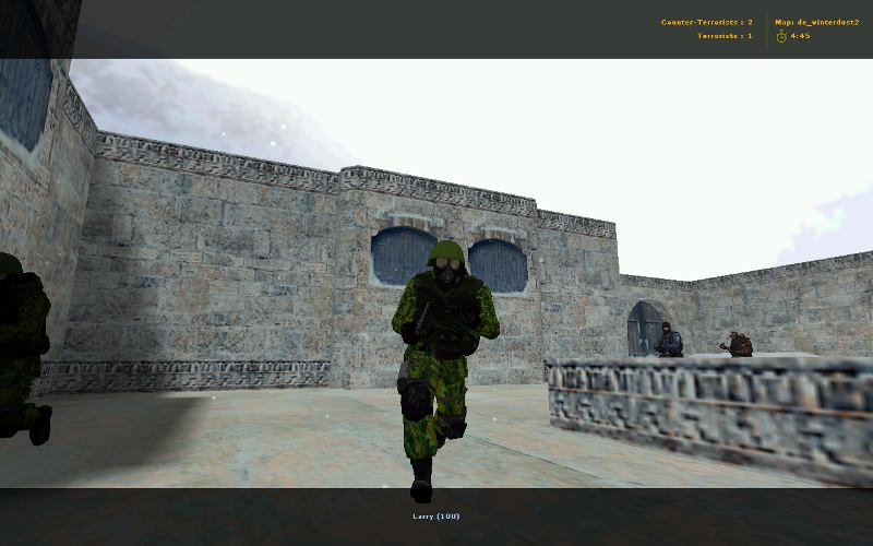 Green camo sas (Stalker)
