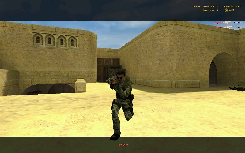 Camo leet