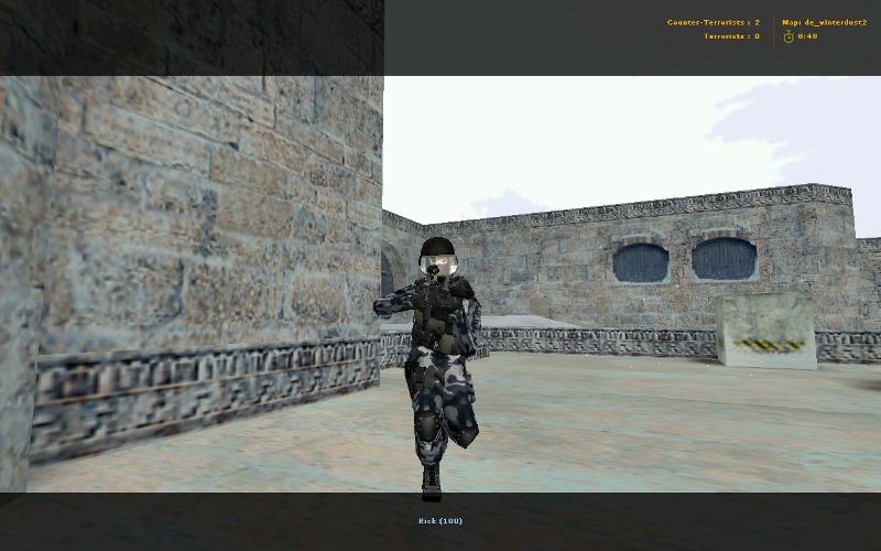 Snow Camo gign