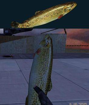 Knife fish
