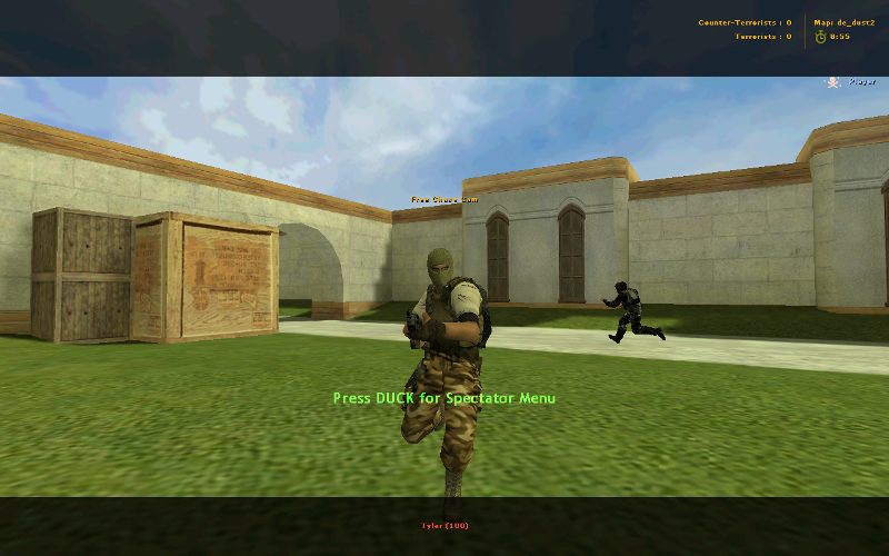 Professional Terrorist