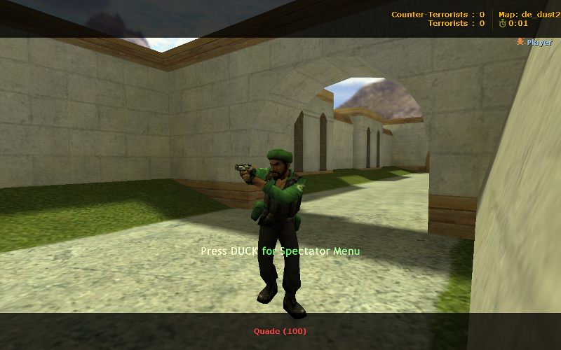 Hamas Guerilla