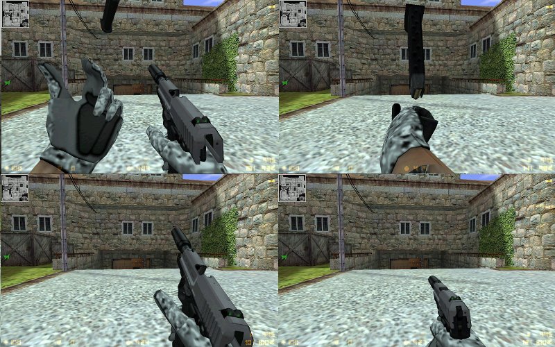 HK USP-Pro conver