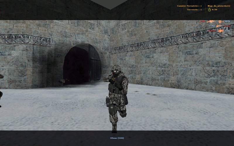 Digital camo Russian spec