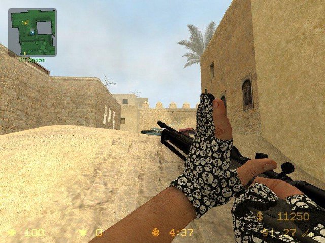 Skull gloves