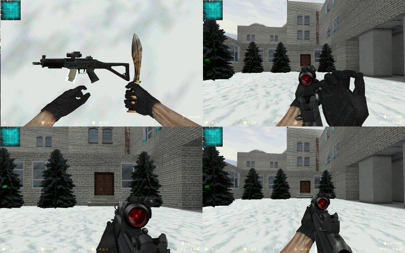 SG552 Havoc anims