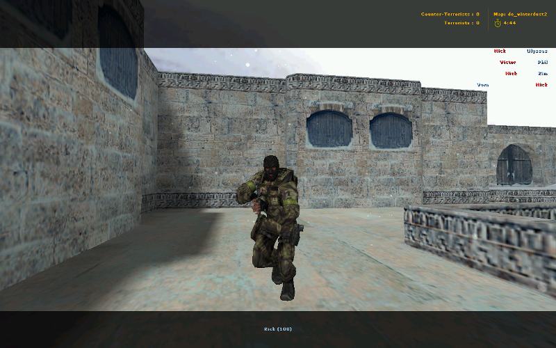 Green camo Stalker