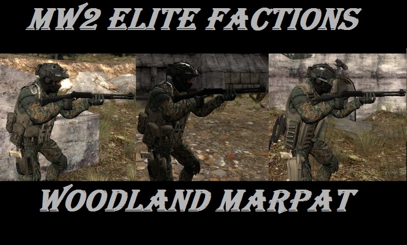 MW2 Elite factions woodland marpat