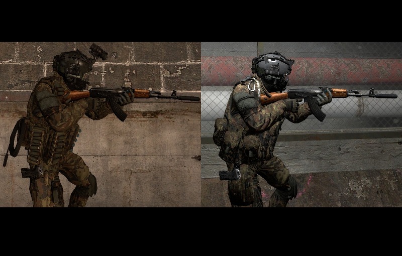 MW2 Elite factions Flectarn