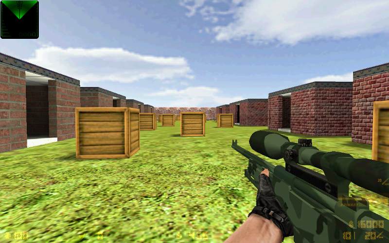 Camo AWP