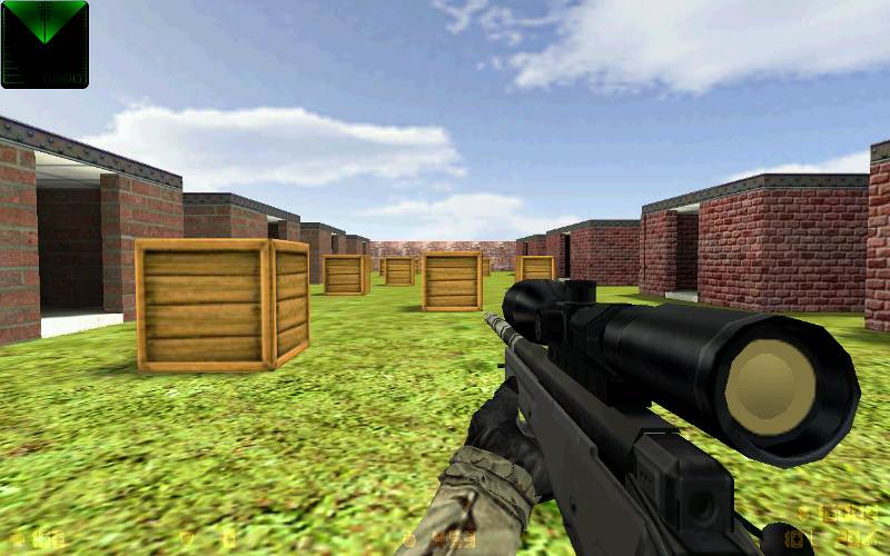 Camo AWP