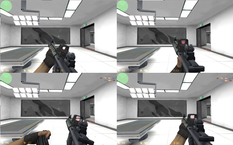 ZM LR300 on dual sight